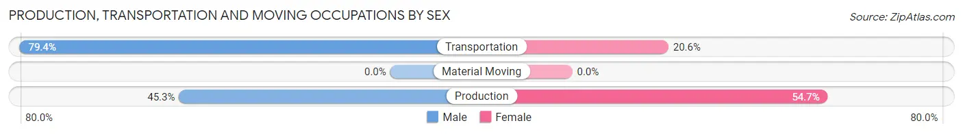 Production, Transportation and Moving Occupations by Sex in Zip Code 14170