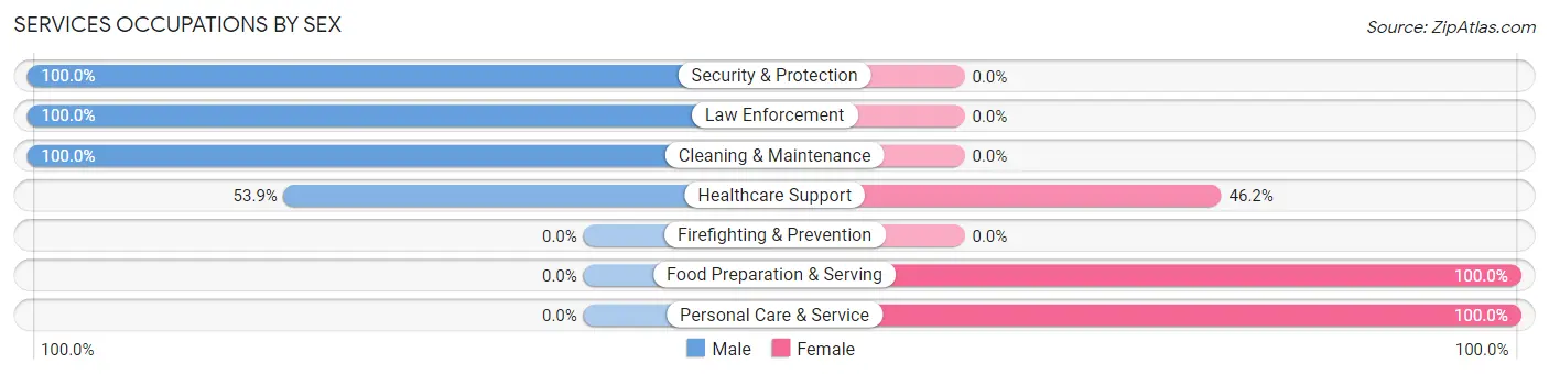 Services Occupations by Sex in Zip Code 14171