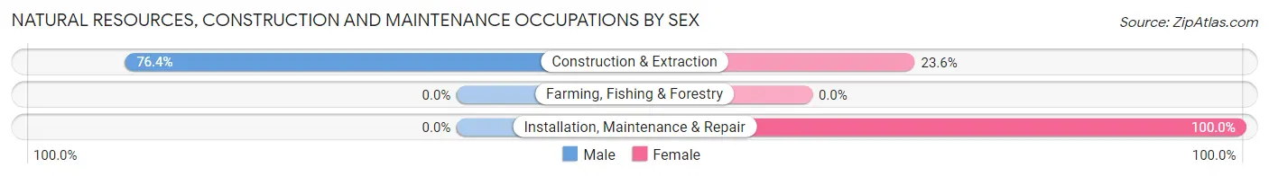 Natural Resources, Construction and Maintenance Occupations by Sex in Zip Code 14202