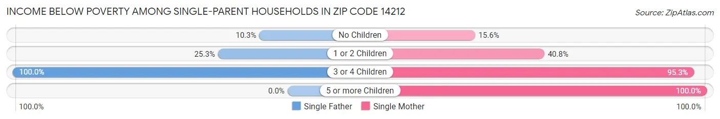 Income Below Poverty Among Single-Parent Households in Zip Code 14212