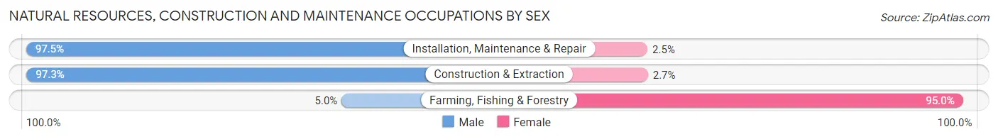 Natural Resources, Construction and Maintenance Occupations by Sex in Zip Code 14223