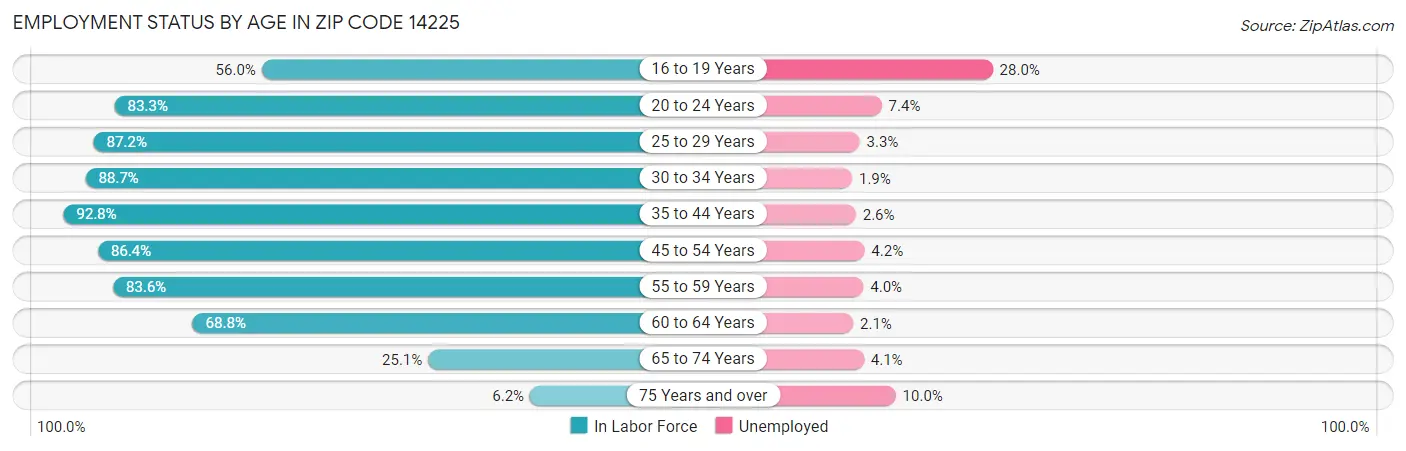 Employment Status by Age in Zip Code 14225