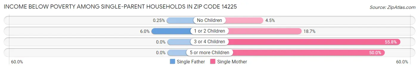 Income Below Poverty Among Single-Parent Households in Zip Code 14225
