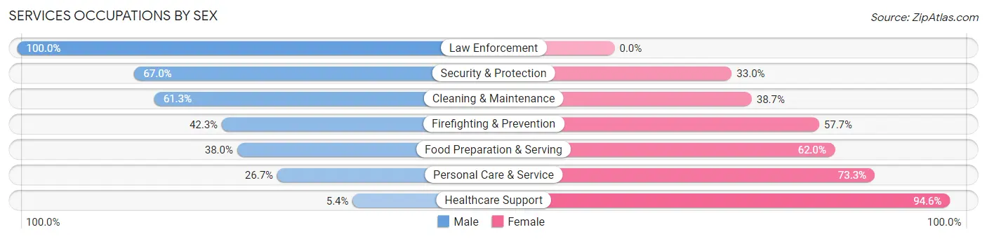 Services Occupations by Sex in Zip Code 14304