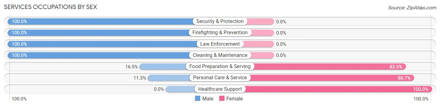 Services Occupations by Sex in Zip Code 14471