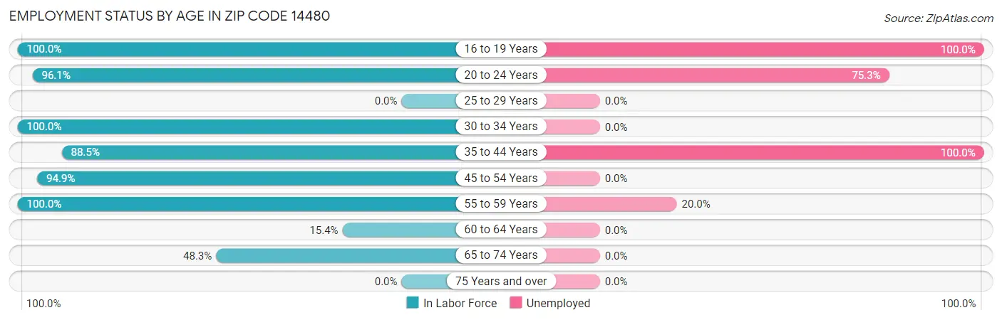 Employment Status by Age in Zip Code 14480