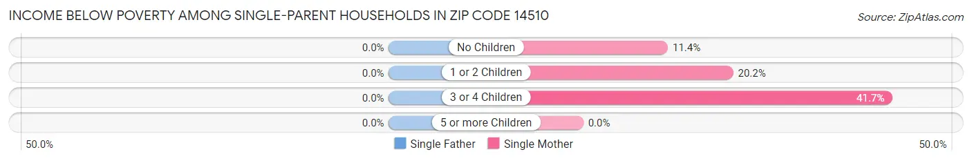 Income Below Poverty Among Single-Parent Households in Zip Code 14510