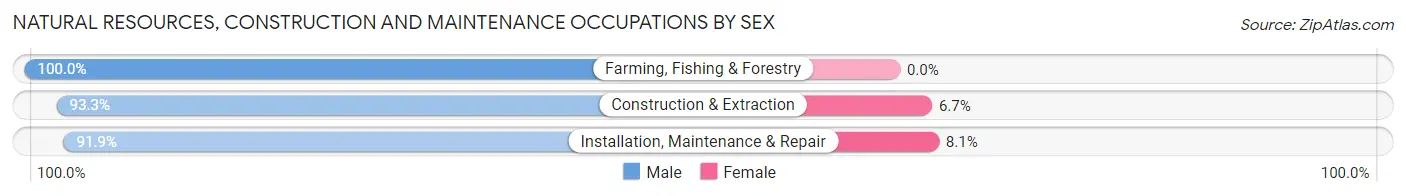 Natural Resources, Construction and Maintenance Occupations by Sex in Zip Code 14512
