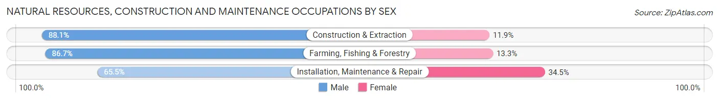 Natural Resources, Construction and Maintenance Occupations by Sex in Zip Code 14550