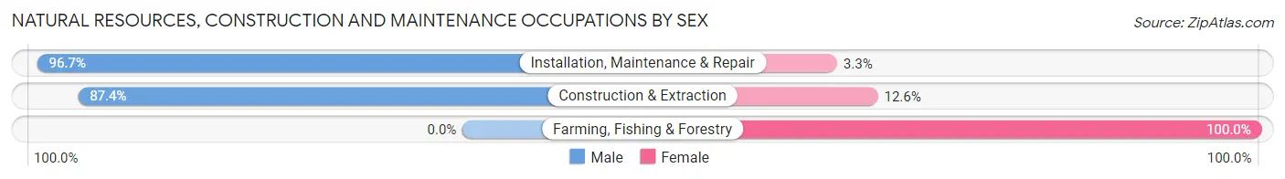 Natural Resources, Construction and Maintenance Occupations by Sex in Zip Code 14580