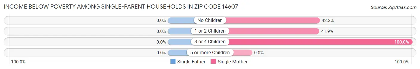 Income Below Poverty Among Single-Parent Households in Zip Code 14607