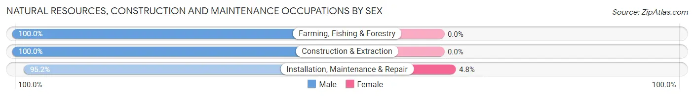Natural Resources, Construction and Maintenance Occupations by Sex in Zip Code 14615