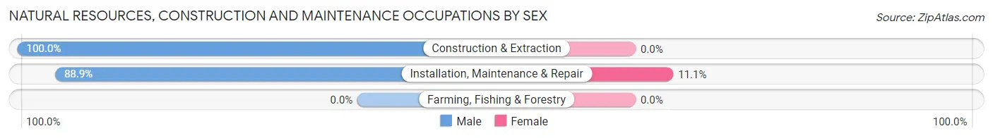 Natural Resources, Construction and Maintenance Occupations by Sex in Zip Code 14706