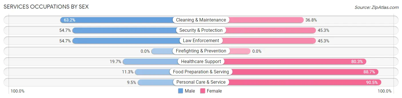 Services Occupations by Sex in Zip Code 14719