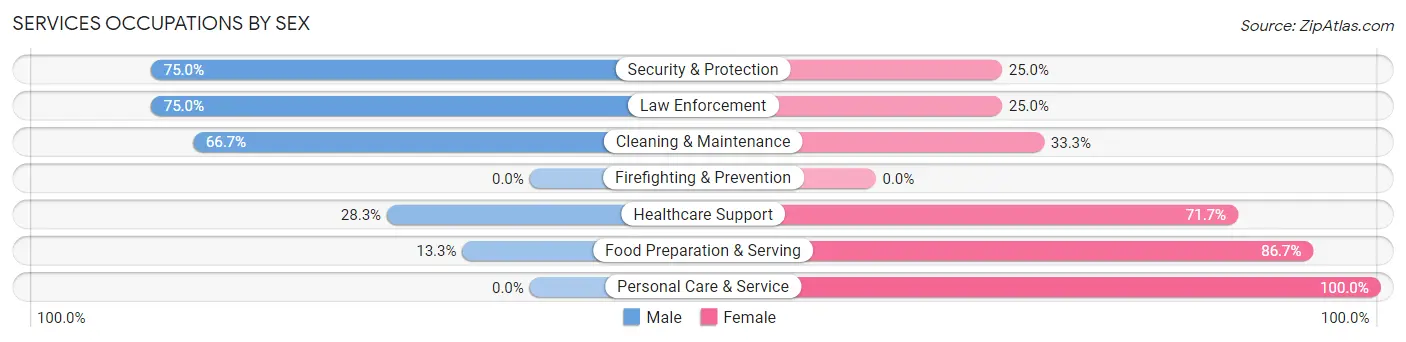 Services Occupations by Sex in Zip Code 14723