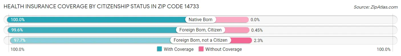 Health Insurance Coverage by Citizenship Status in Zip Code 14733