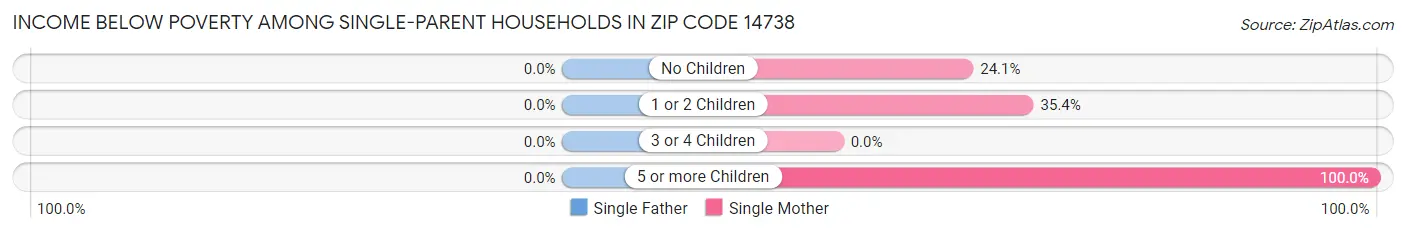 Income Below Poverty Among Single-Parent Households in Zip Code 14738