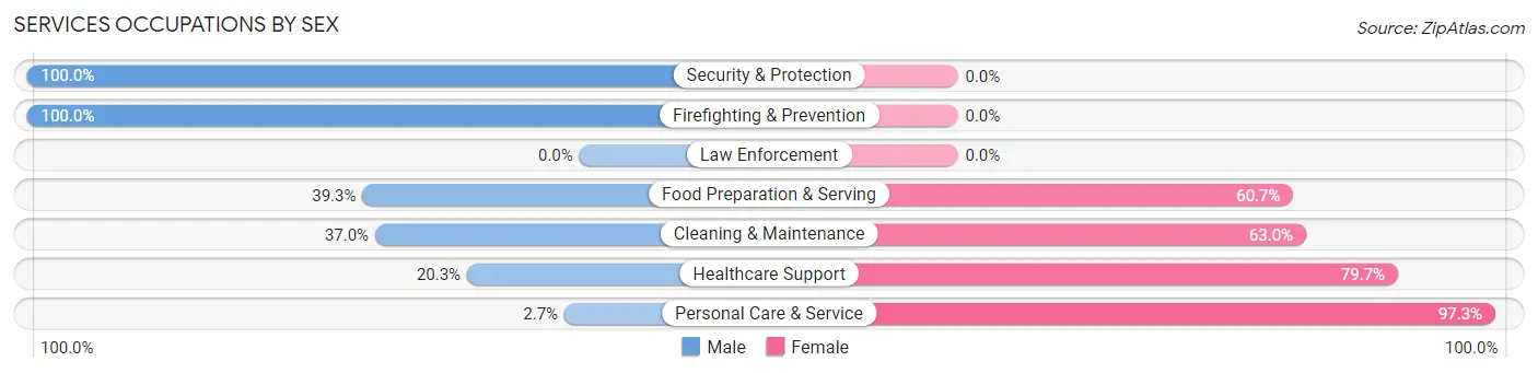 Services Occupations by Sex in Zip Code 14738