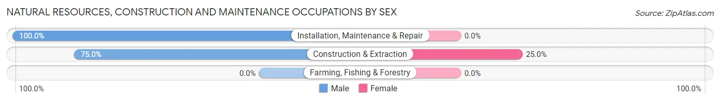 Natural Resources, Construction and Maintenance Occupations by Sex in Zip Code 14754