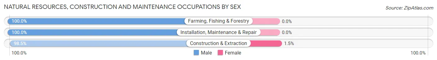 Natural Resources, Construction and Maintenance Occupations by Sex in Zip Code 14772