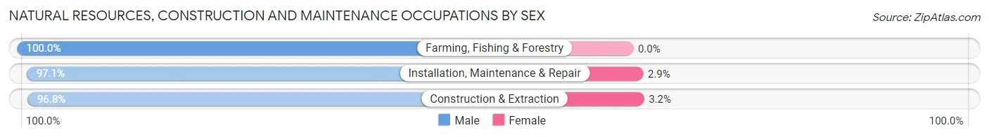 Natural Resources, Construction and Maintenance Occupations by Sex in Zip Code 14779