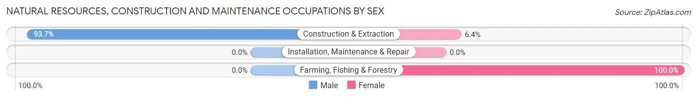 Natural Resources, Construction and Maintenance Occupations by Sex in Zip Code 14802