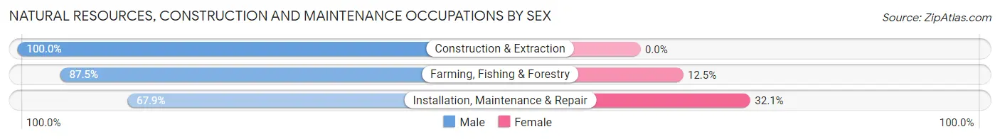 Natural Resources, Construction and Maintenance Occupations by Sex in Zip Code 14869