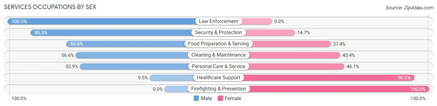 Services Occupations by Sex in Zip Code 14904