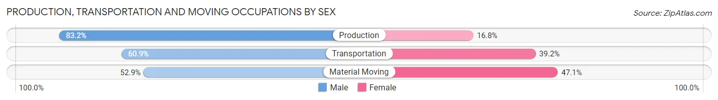 Production, Transportation and Moving Occupations by Sex in Zip Code 14905