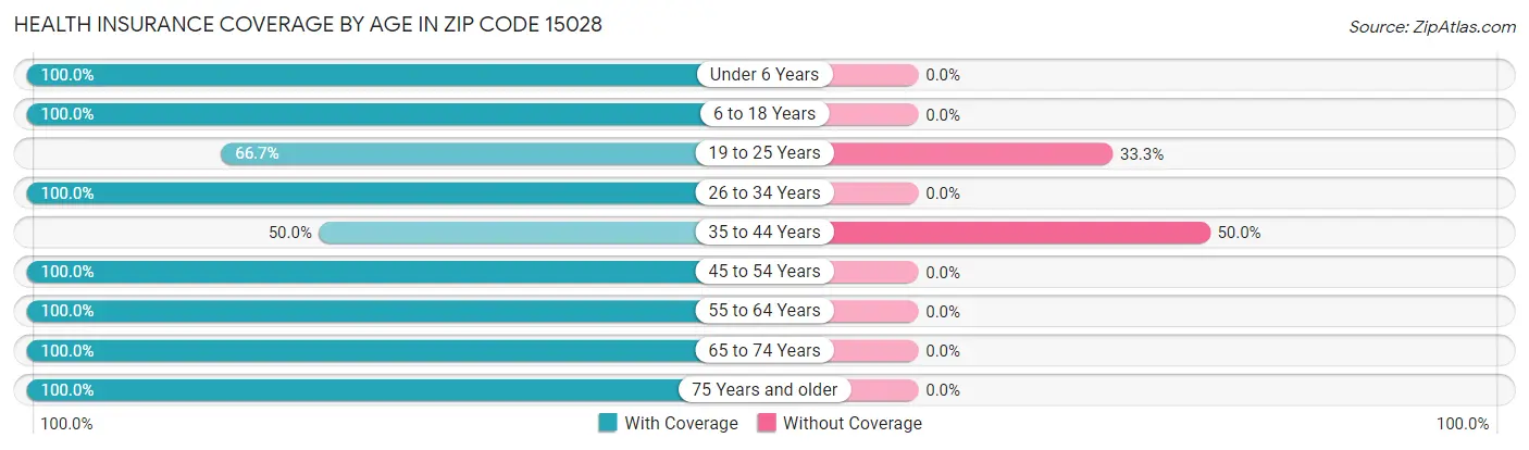 Health Insurance Coverage by Age in Zip Code 15028