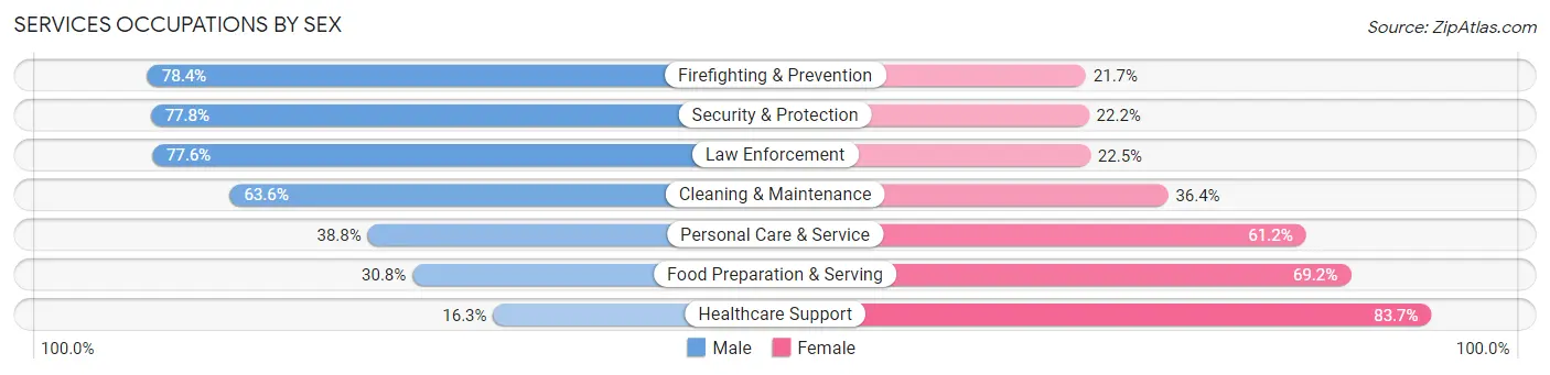 Services Occupations by Sex in Zip Code 15102