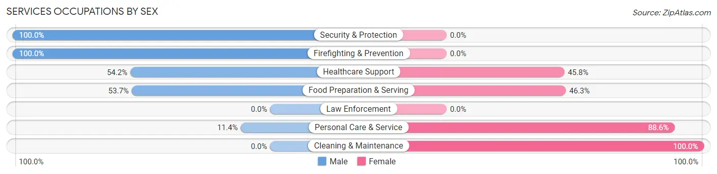 Services Occupations by Sex in Zip Code 15203