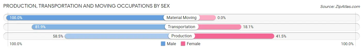 Production, Transportation and Moving Occupations by Sex in Zip Code 15207