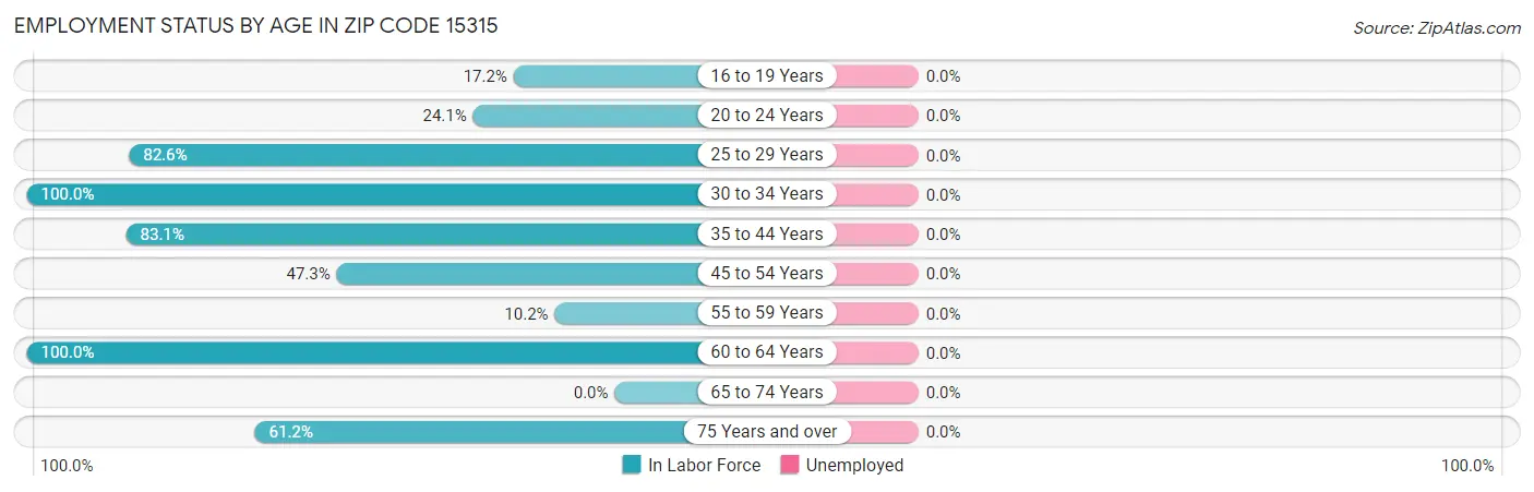 Employment Status by Age in Zip Code 15315