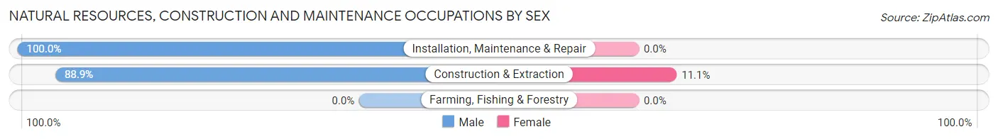 Natural Resources, Construction and Maintenance Occupations by Sex in Zip Code 15696