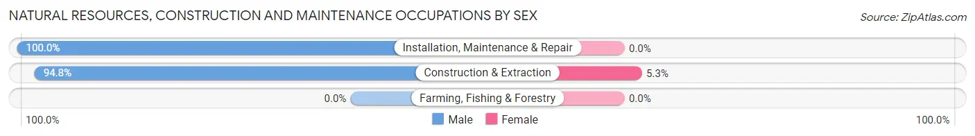 Natural Resources, Construction and Maintenance Occupations by Sex in Zip Code 15717