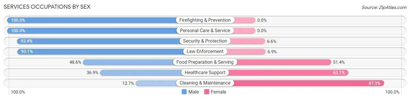 Services Occupations by Sex in Zip Code 15943