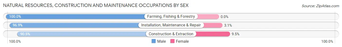 Natural Resources, Construction and Maintenance Occupations by Sex in Zip Code 16117