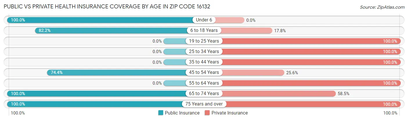 Public vs Private Health Insurance Coverage by Age in Zip Code 16132