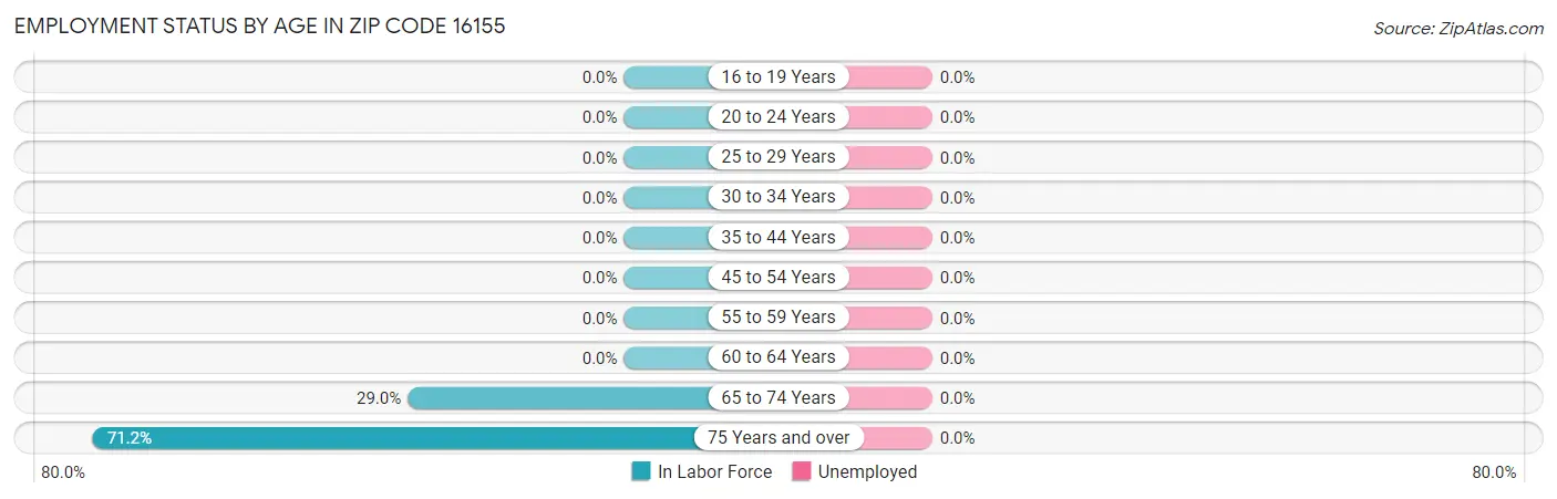 Employment Status by Age in Zip Code 16155