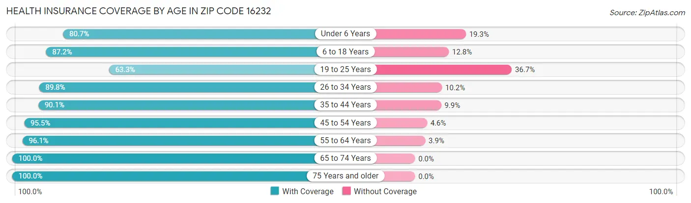 Health Insurance Coverage by Age in Zip Code 16232