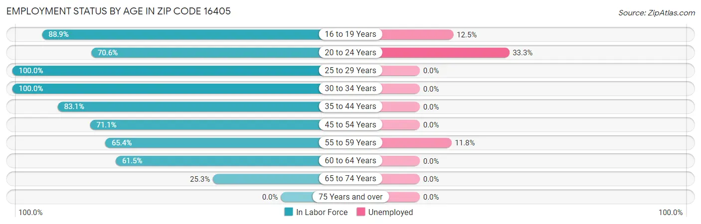 Employment Status by Age in Zip Code 16405