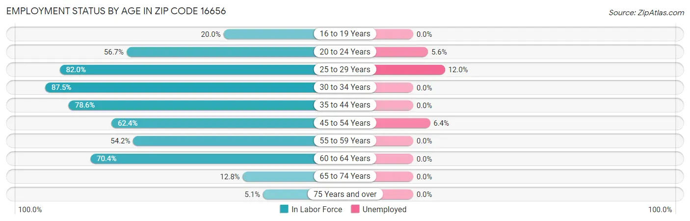 Employment Status by Age in Zip Code 16656