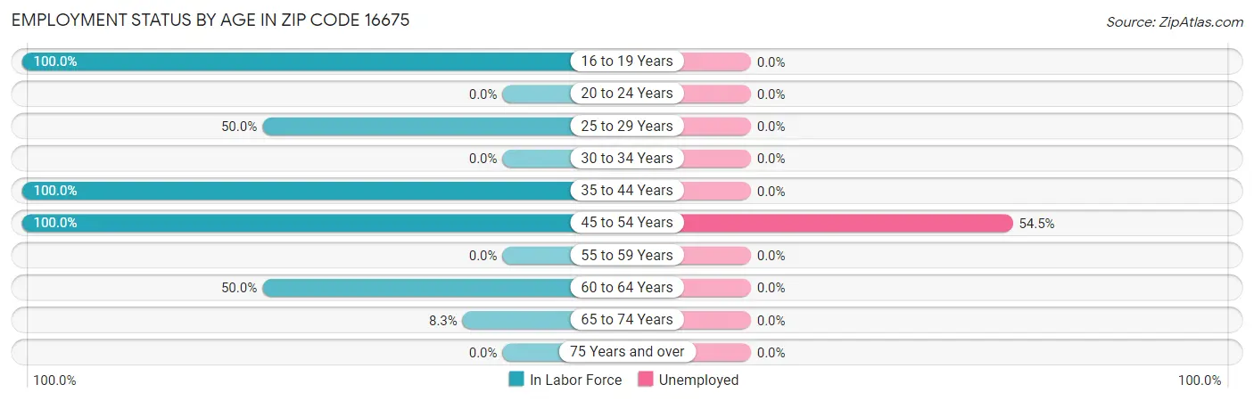 Employment Status by Age in Zip Code 16675