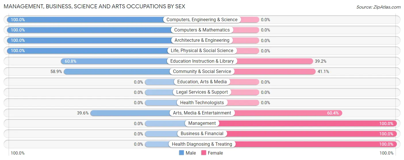 Management, Business, Science and Arts Occupations by Sex in Zip Code 16802