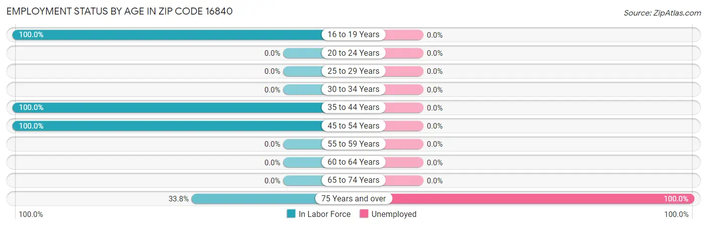 Employment Status by Age in Zip Code 16840