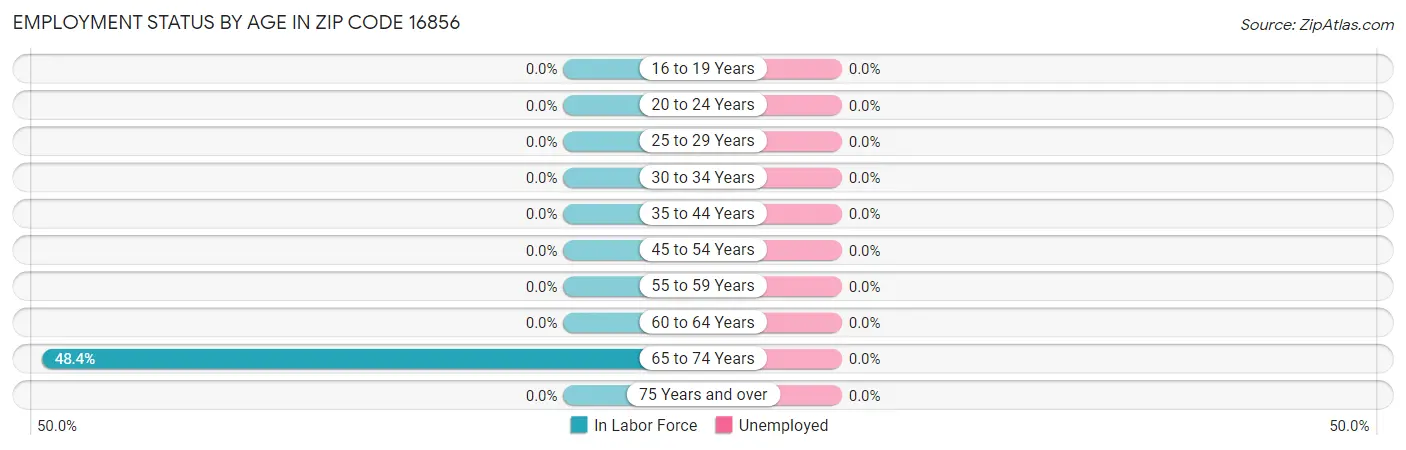 Employment Status by Age in Zip Code 16856