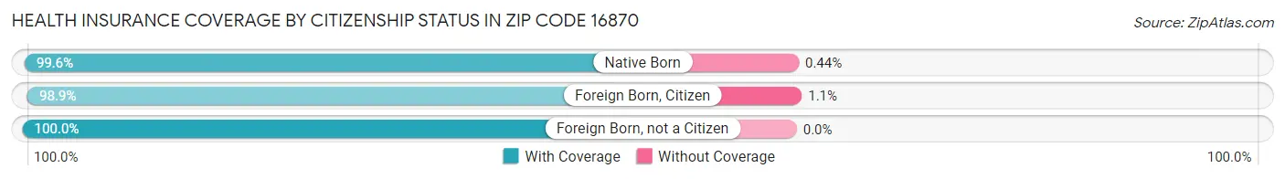 Health Insurance Coverage by Citizenship Status in Zip Code 16870