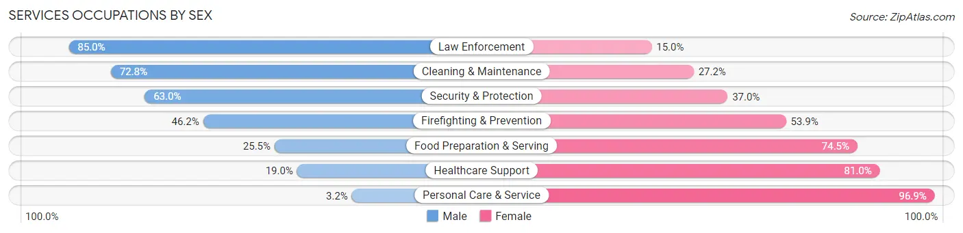 Services Occupations by Sex in Zip Code 16901