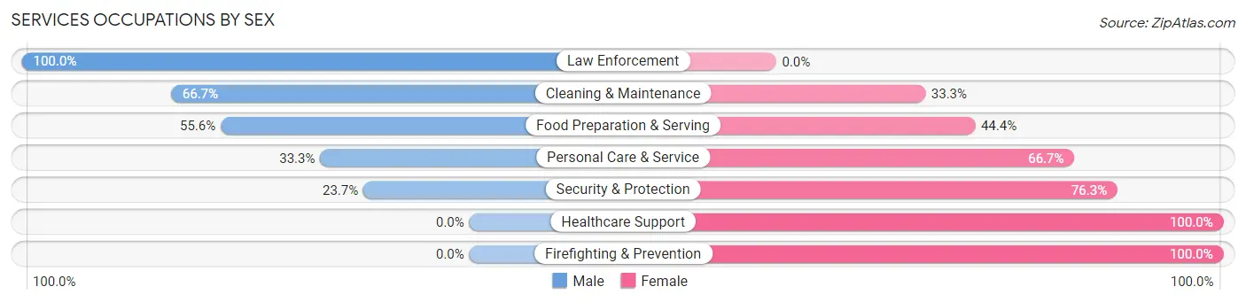 Services Occupations by Sex in Zip Code 16929